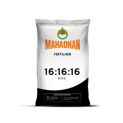 Mahadhan 16:16:16