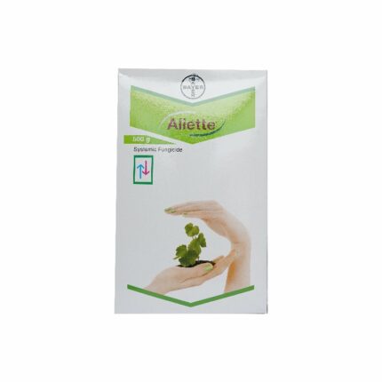 Aliette