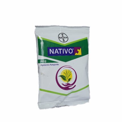 Nativo