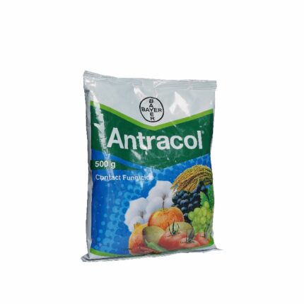 Antracol