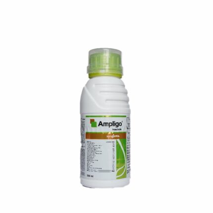 Ampligo