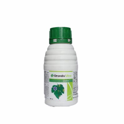 Orondis ultra