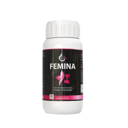 Femina