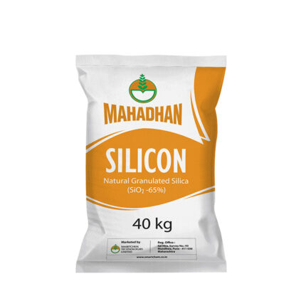 Mahadhan Silicon