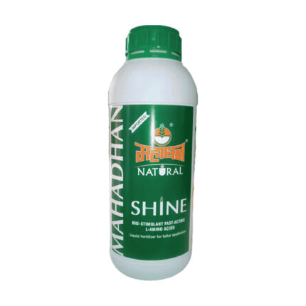 Mahadhan Shine