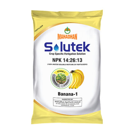 Solutek Banana 1