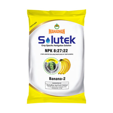Solutek Banana 2