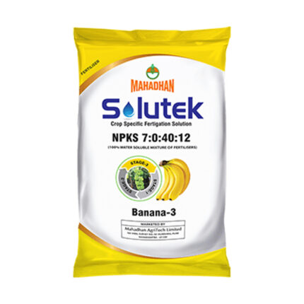 Solutek Banana 3