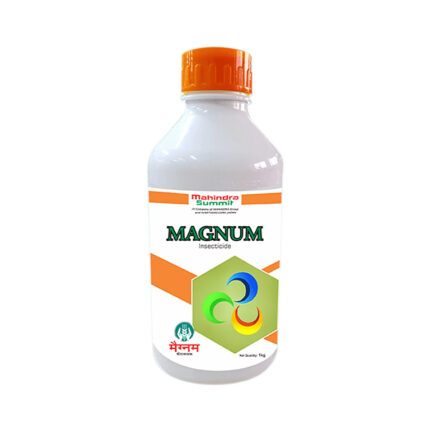 Magnum