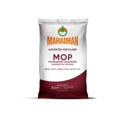 Mahadhan MOP