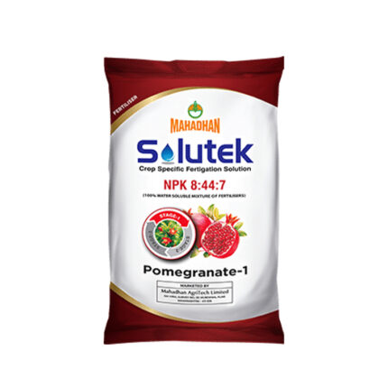 Solutek Pomegranate 1