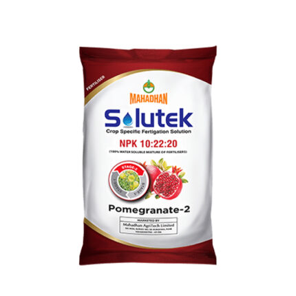 Solutek Pomegranate 2