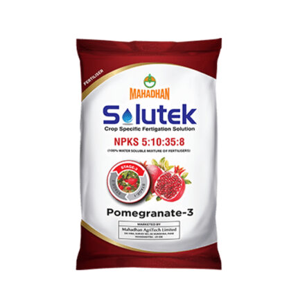 Solutek Pomegranate 3