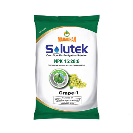 Solutek Grape  Product 1