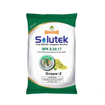 Solutek Grape  Product 2