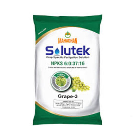 Solutek Grape  Product 3